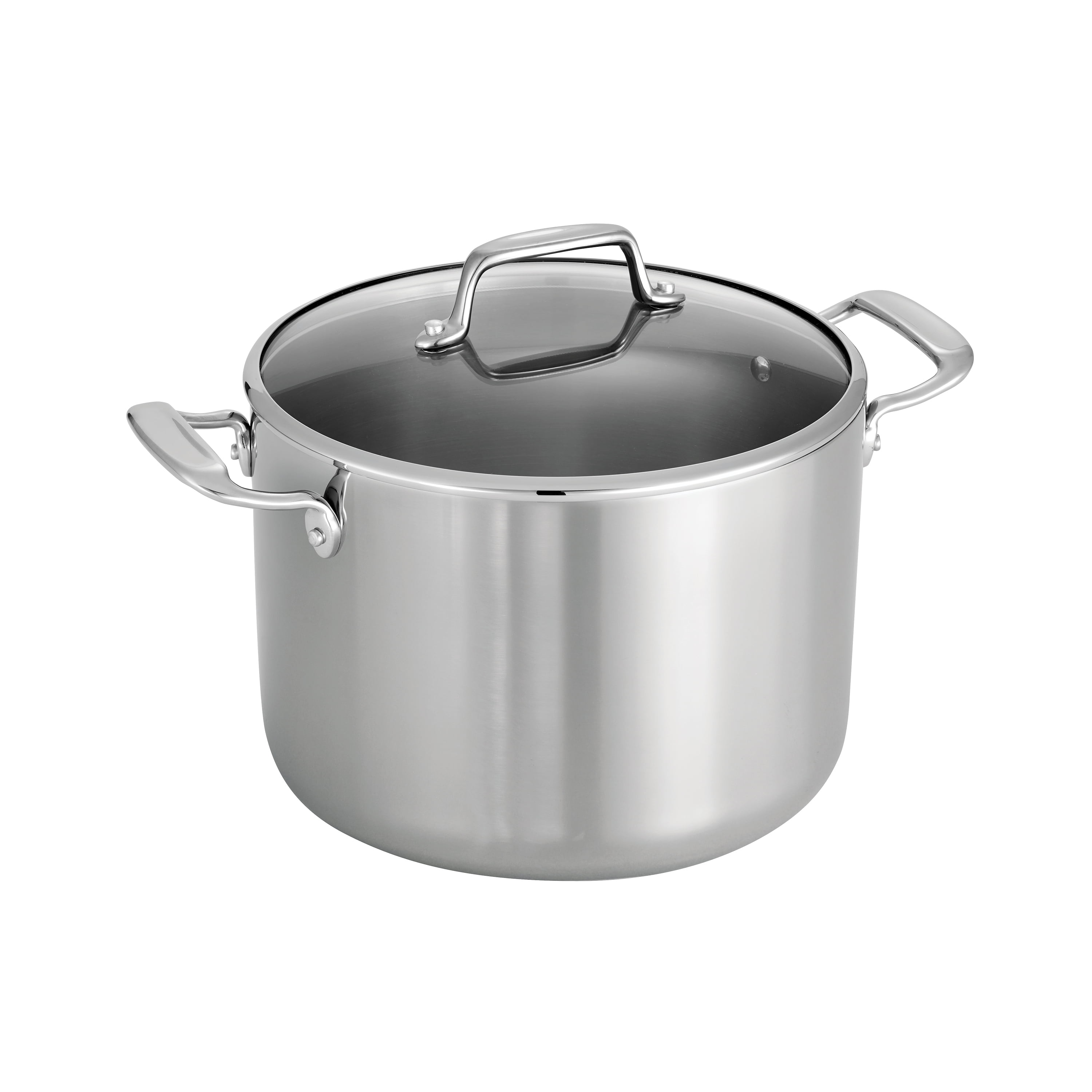 Tri-Ply Clad 8 Qt Covered Stainless Steel StockPot